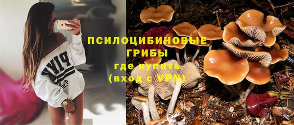 прущие крисы Ступино