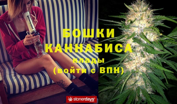 spice Струнино