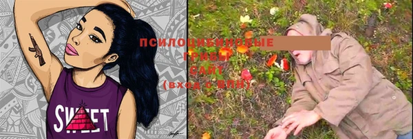 spice Струнино