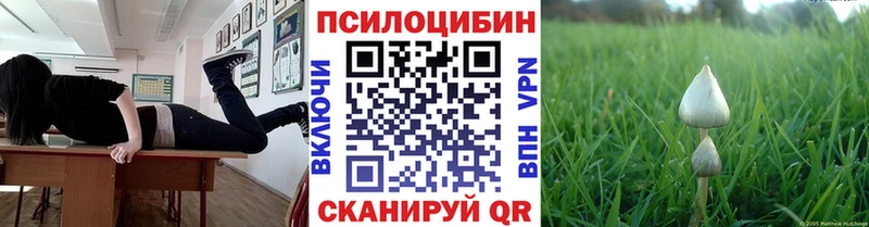 Галлюциногенные грибы Psilocybine cubensis  закладки  Харабали 